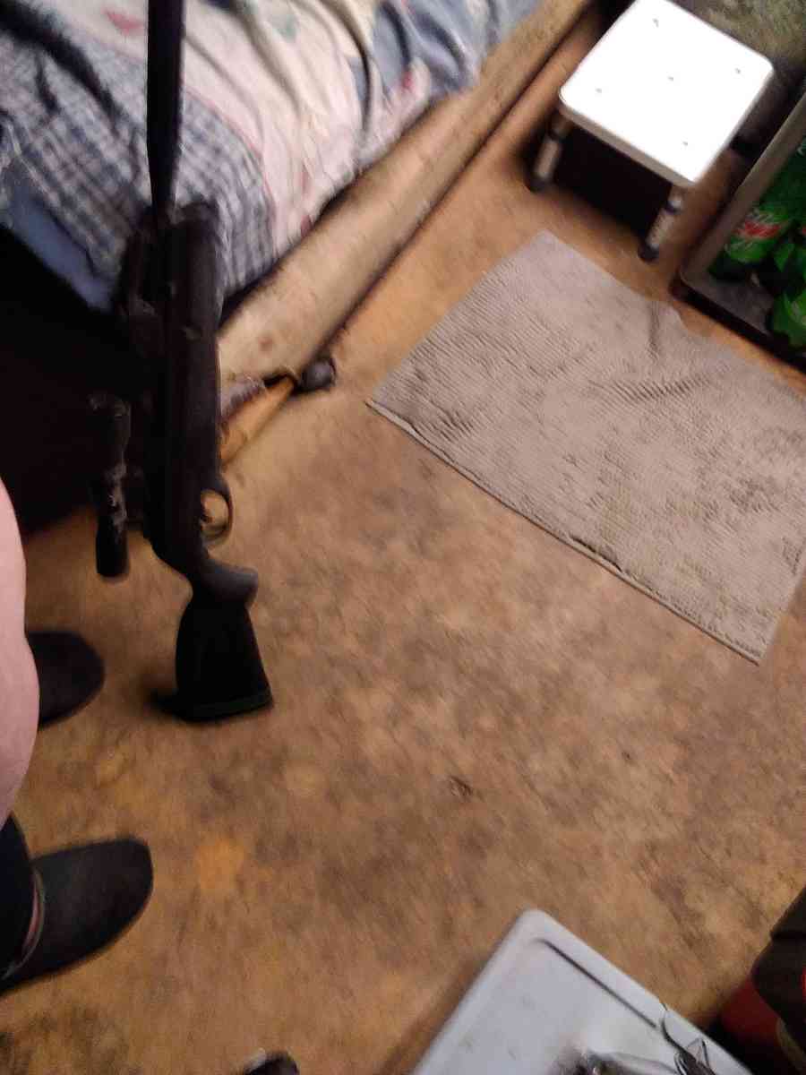 Gamo swarm whisper bb gun - Meyersdale, Pennsylvania - FleaMarketBay