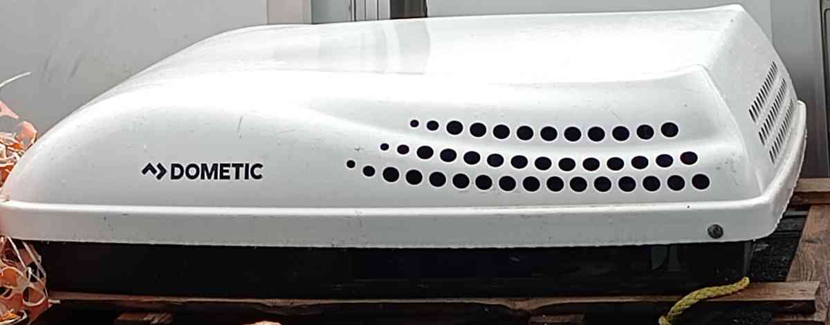 Dominic penguin ii - Somerset, Texas