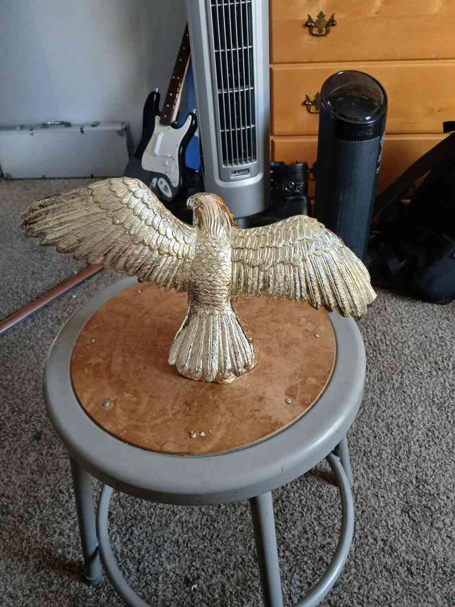 agila dorado - San Jose, California - FleaMarketBay