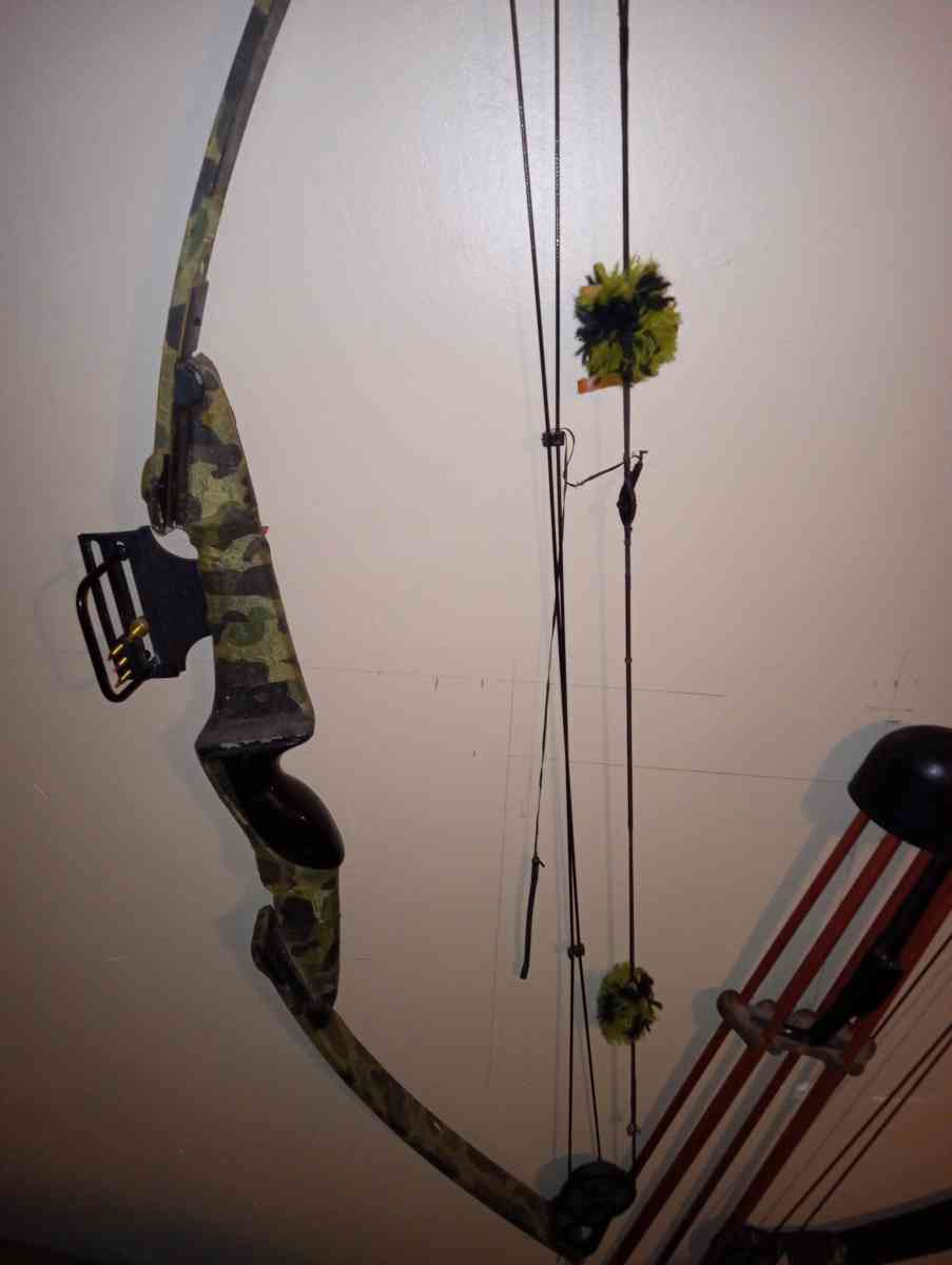 old compound bow - Clinton Township, Michigan