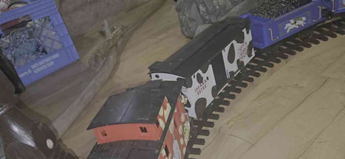 collectable vintage 102 Dalmatians g gauge train set new - Littlerock, Washington - FleaMarketBay