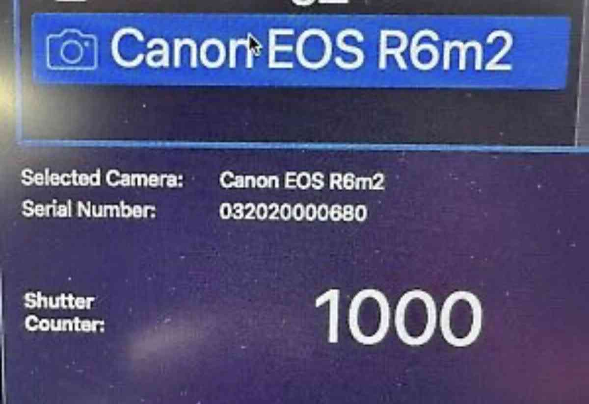 Canon EOS r6 mark ii - Jacksonville, Florida - FleaMarketBay