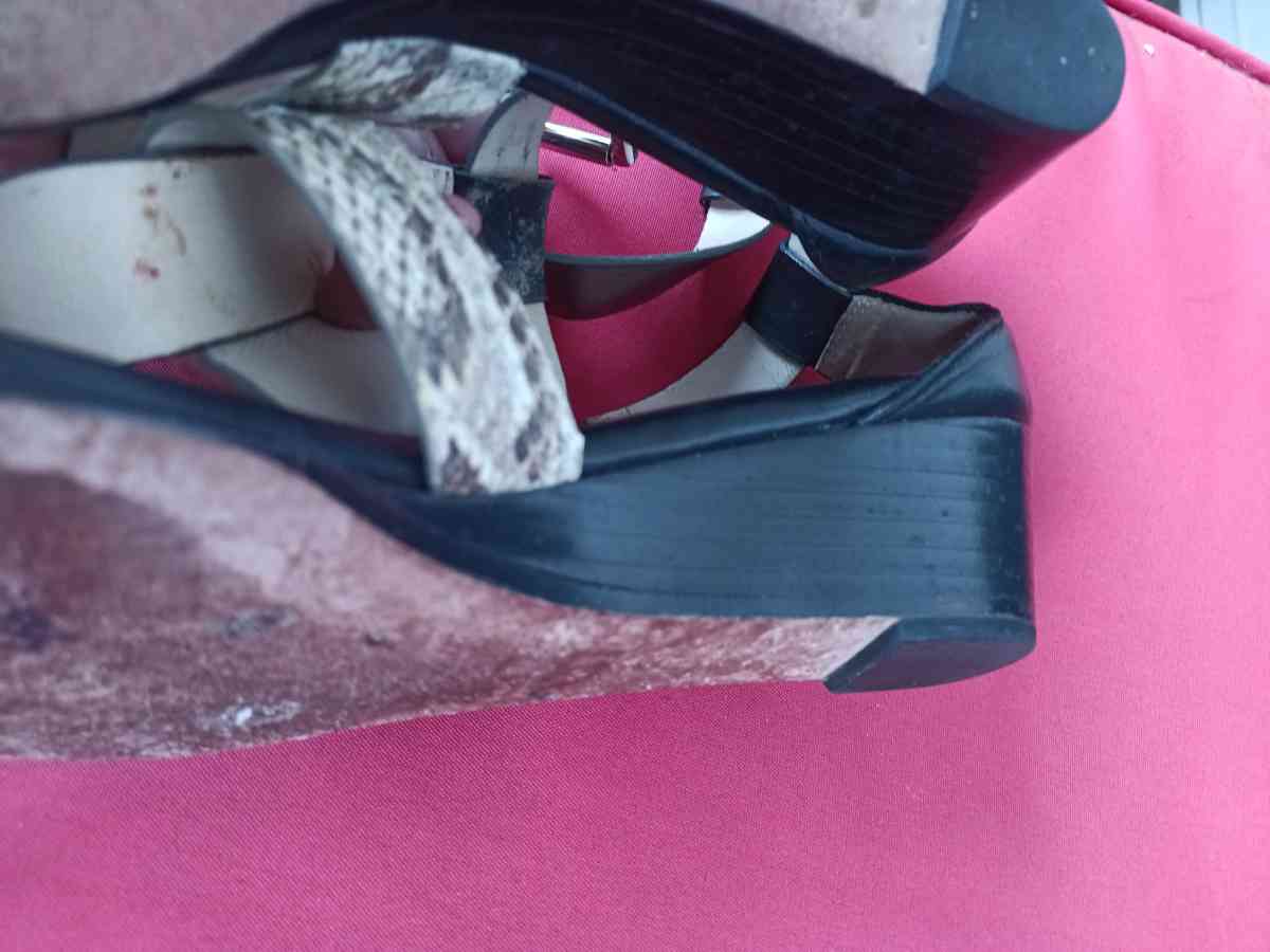 Coach snappy leather snakeskin candles size 6 5 - Friday Harbor, Washington - FleaMarketBay