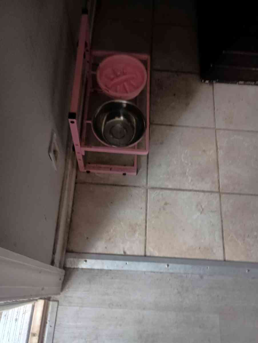 the dog bowl holder - Altamonte Springs, Florida - FleaMarketBay