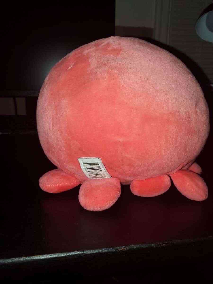 5in Squishmallow - Joliet, Illinois - FleaMarketBay