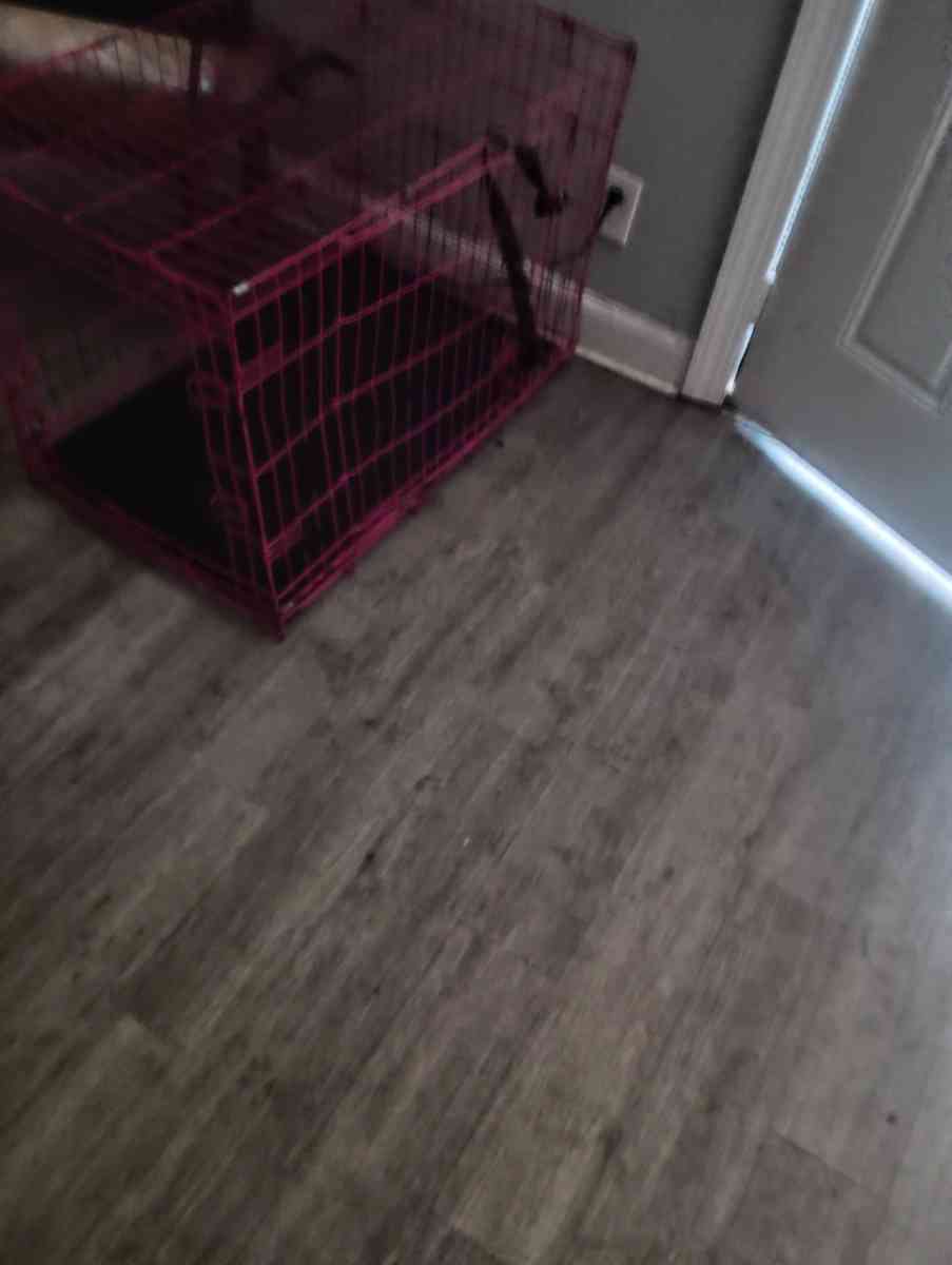 the dog bowl holder - Altamonte Springs, Florida - FleaMarketBay