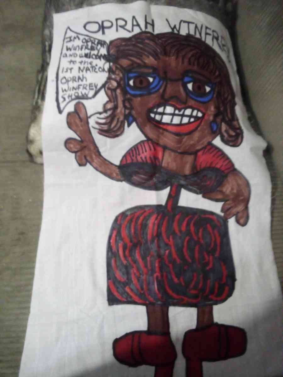 cartoon on pillows and wall hangings - Saint Louis, Missouri - FleaMarketBay