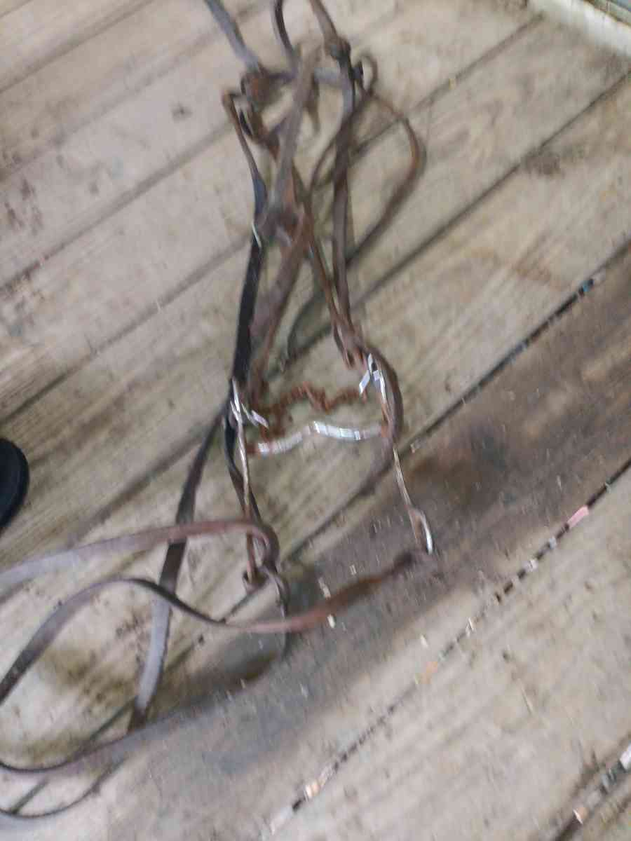 bridle with bit n reins - Opelousas, Louisiana - FleaMarketBay