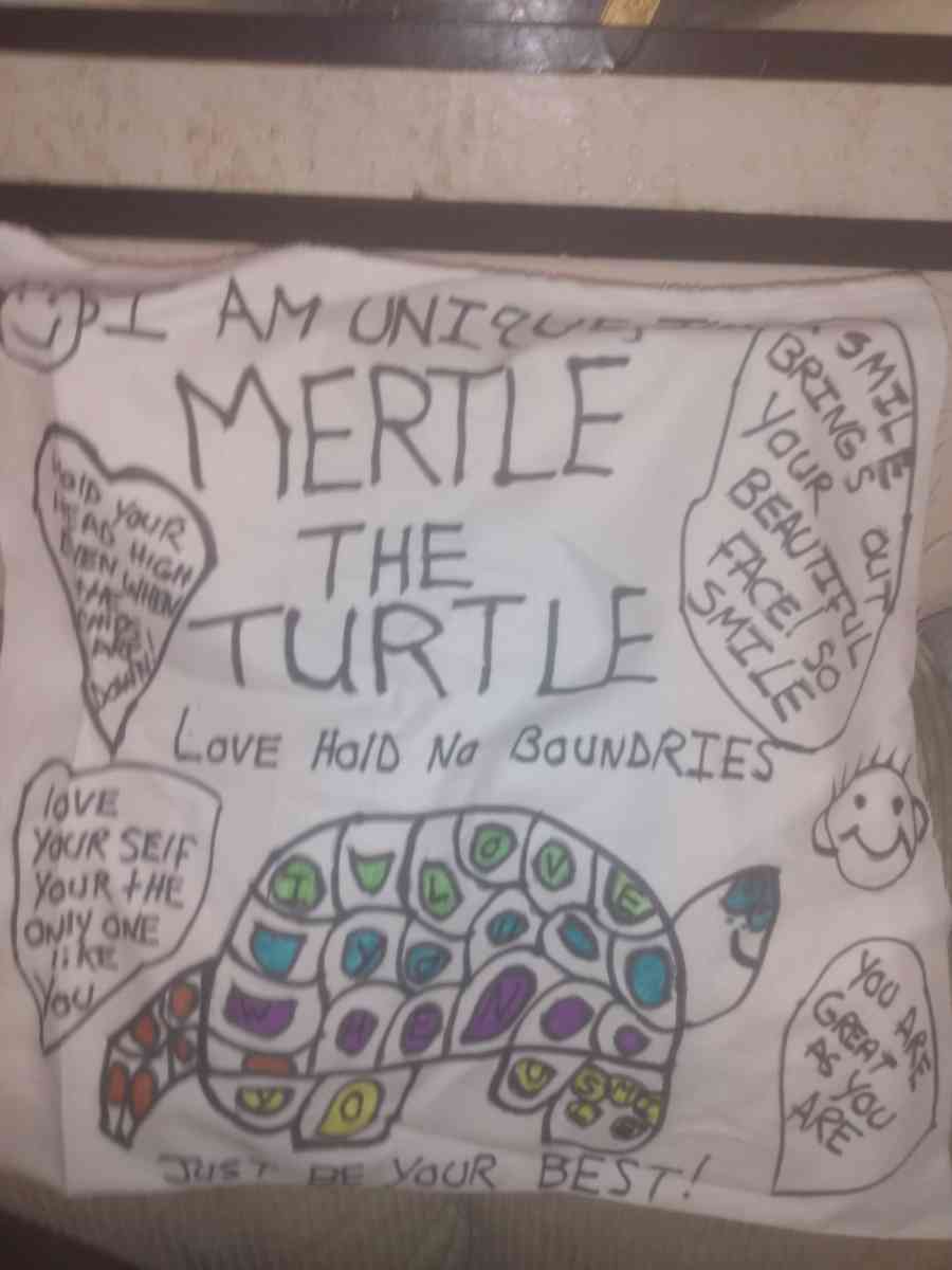 homemade pillows - Saint Louis, Missouri - FleaMarketBay