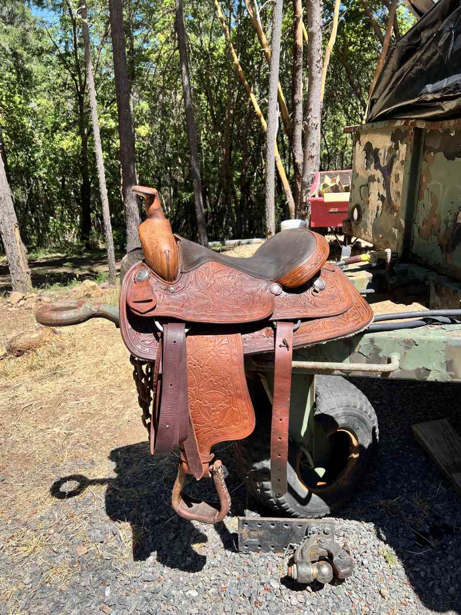 Saddle King - Grants Pass, Oregon - FleaMarketBay