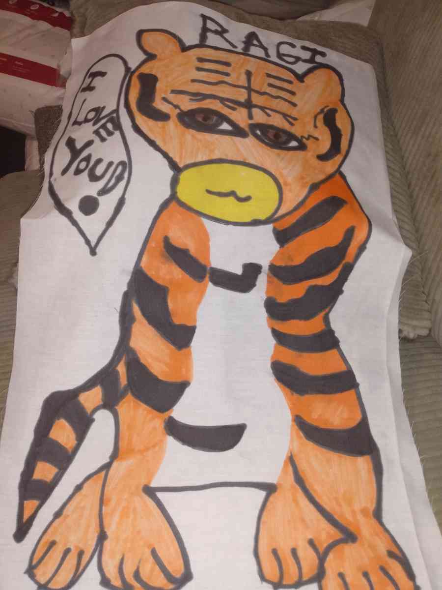 pillows and more - Saint Louis, Missouri - FleaMarketBay