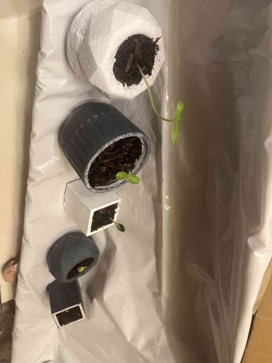 12 10 8 pots with a plant - Perris, California - FleaMarketBay