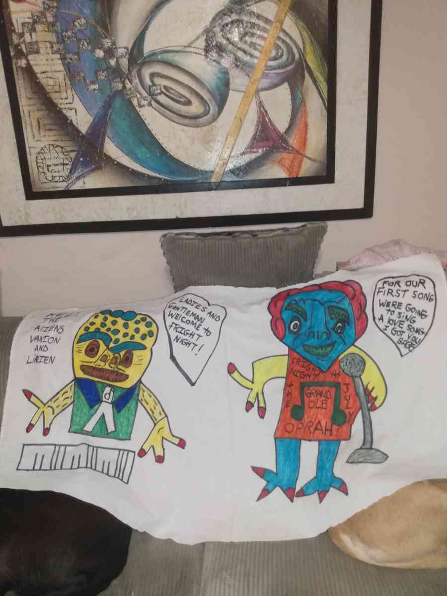 variety of pillows and wall hangings - Saint Louis, Missouri - FleaMarketBay