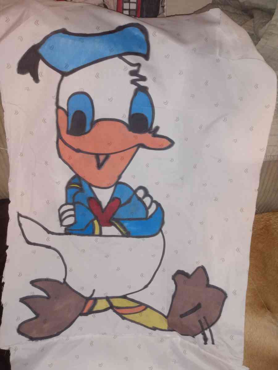 homemade cartoon pillows and wall hangings - Saint Louis, Missouri - FleaMarketBay