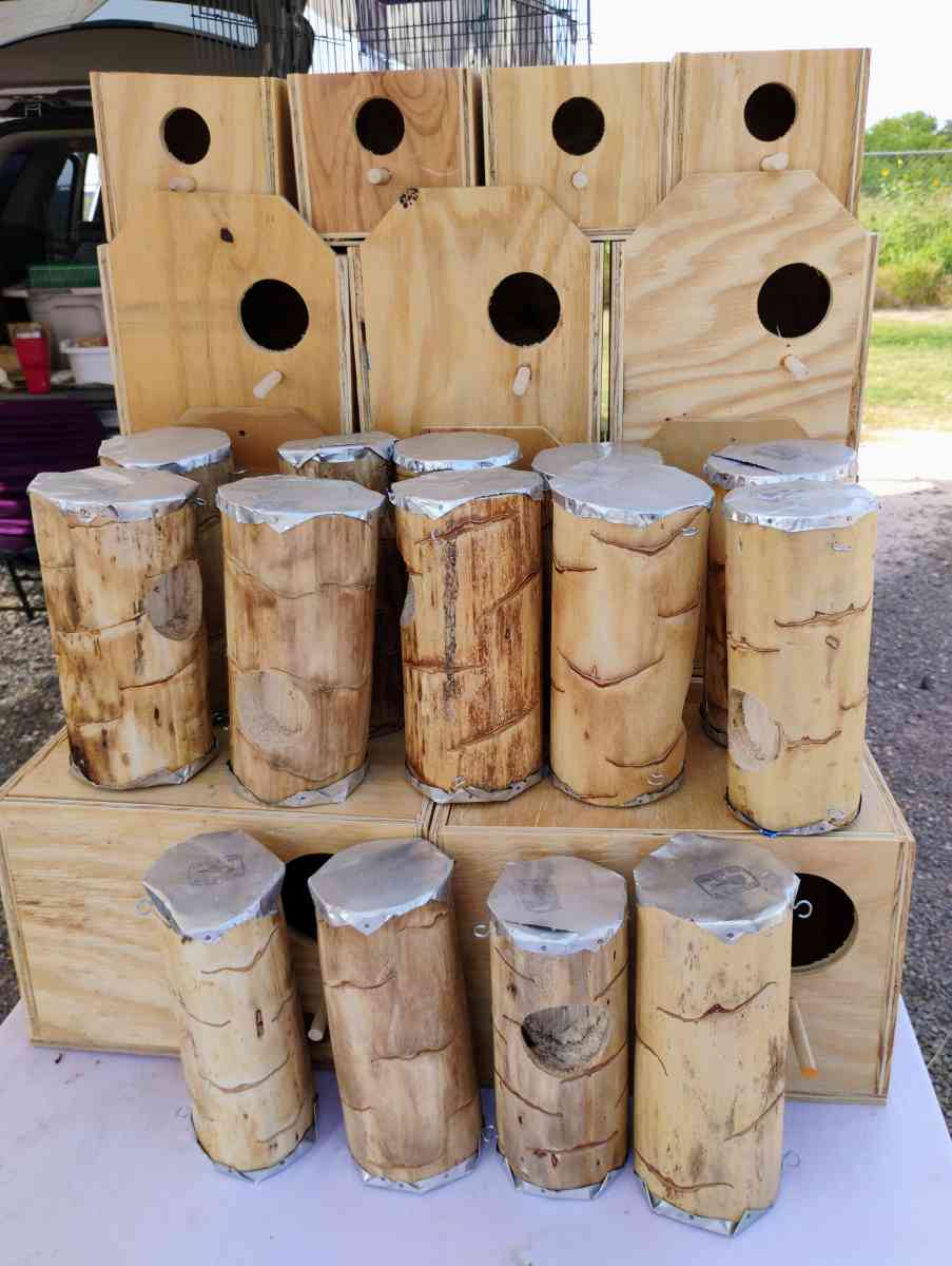 bird boxes - Mcallen, Texas