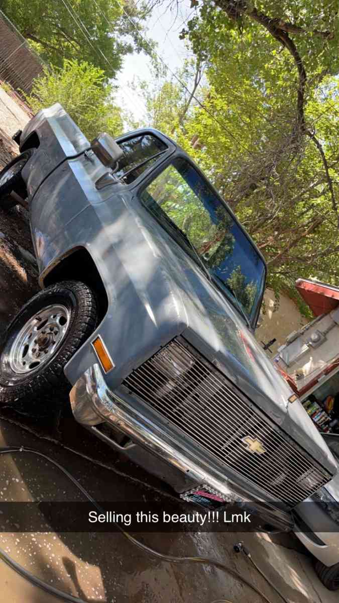 1981 Chevrolet C20 Pickup - Albuquerque, New Mexico