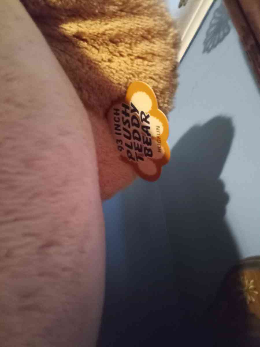 teddy bear 93 feet - Cleveland, Ohio - FleaMarketBay