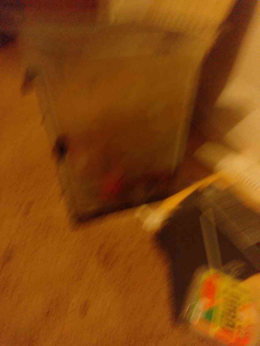 fish tank - Baltimore, Maryland - FleaMarketBay