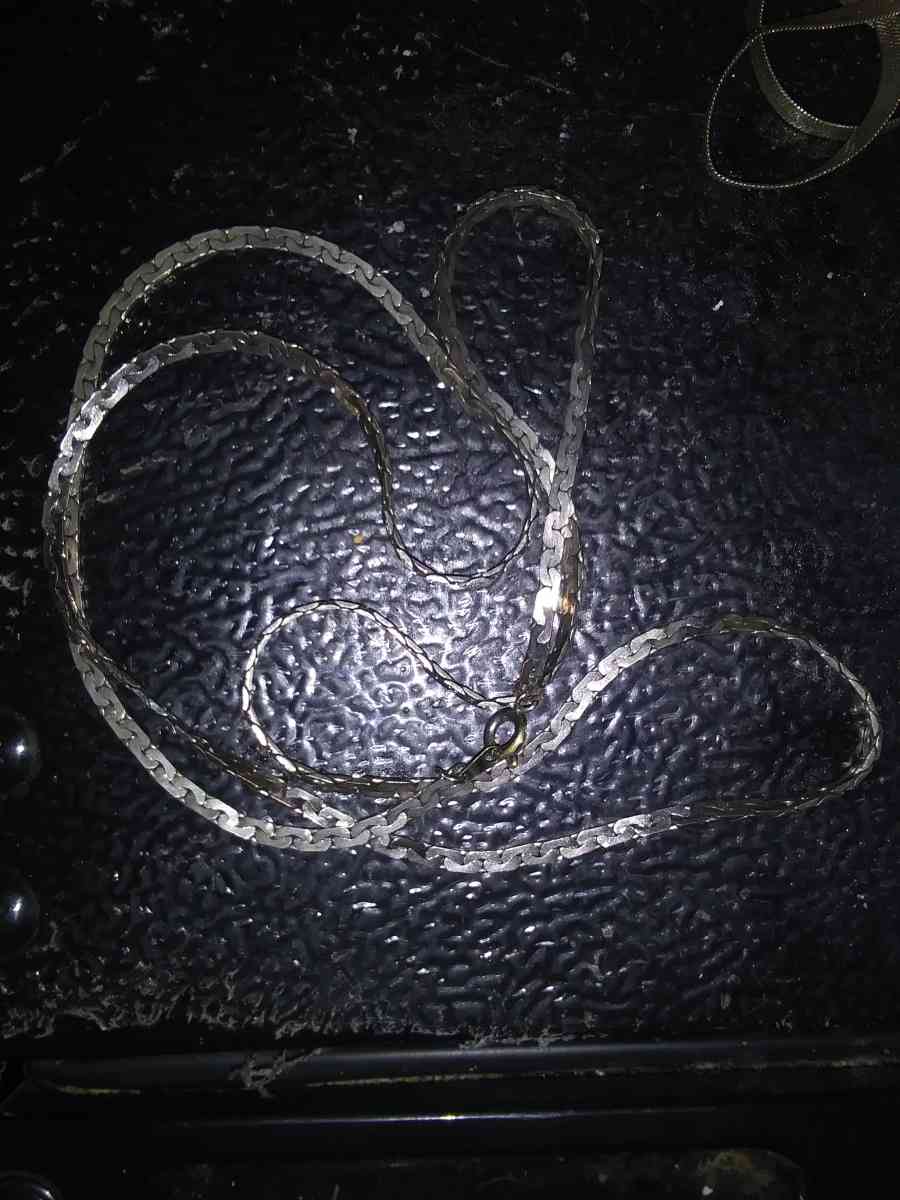 silver colored necklace