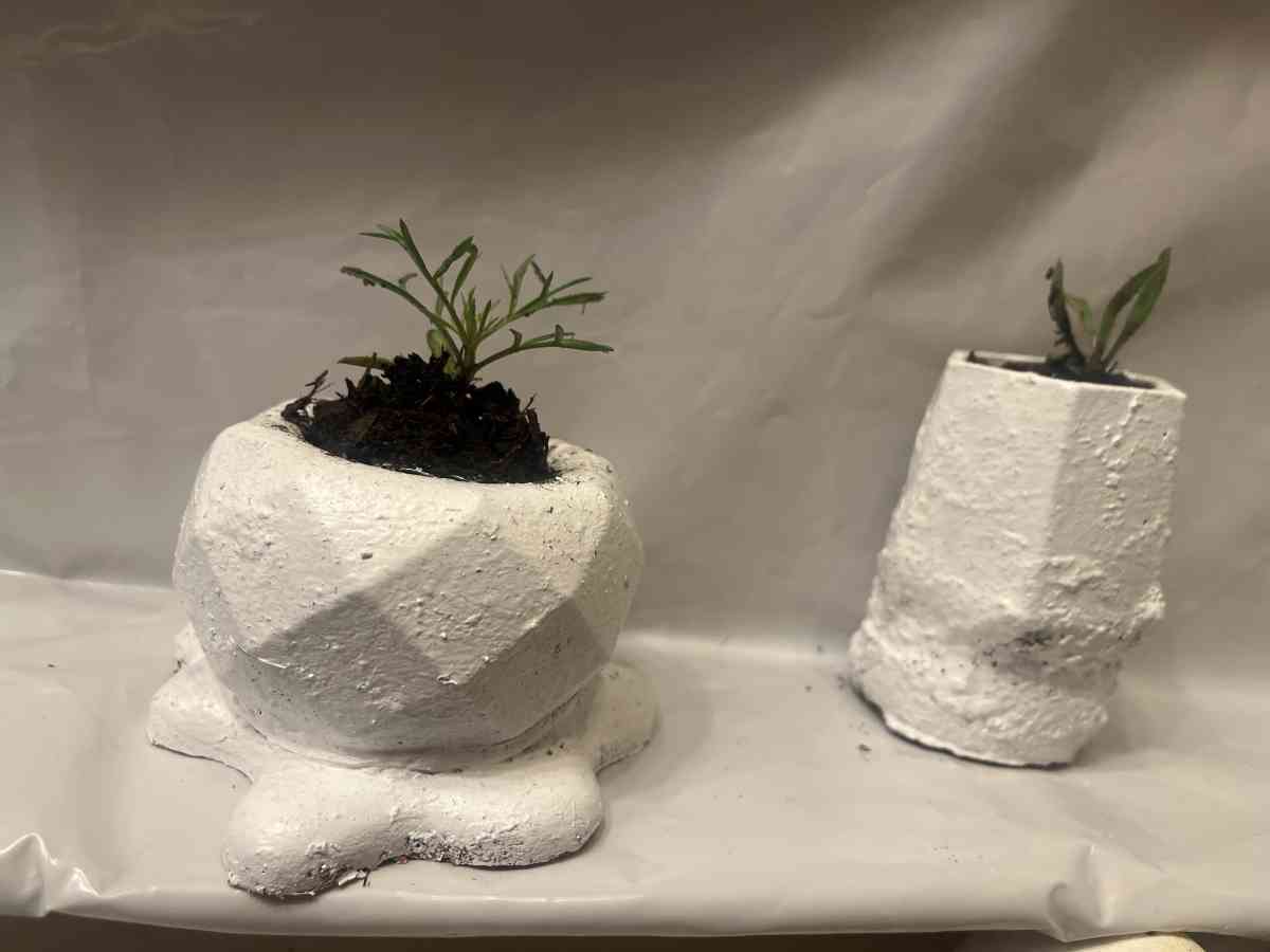 12 10 8  pots with plant - Perris, California