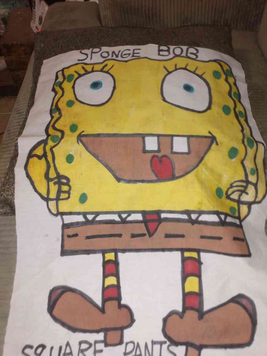 homemade pillows - Saint Louis, Missouri - FleaMarketBay