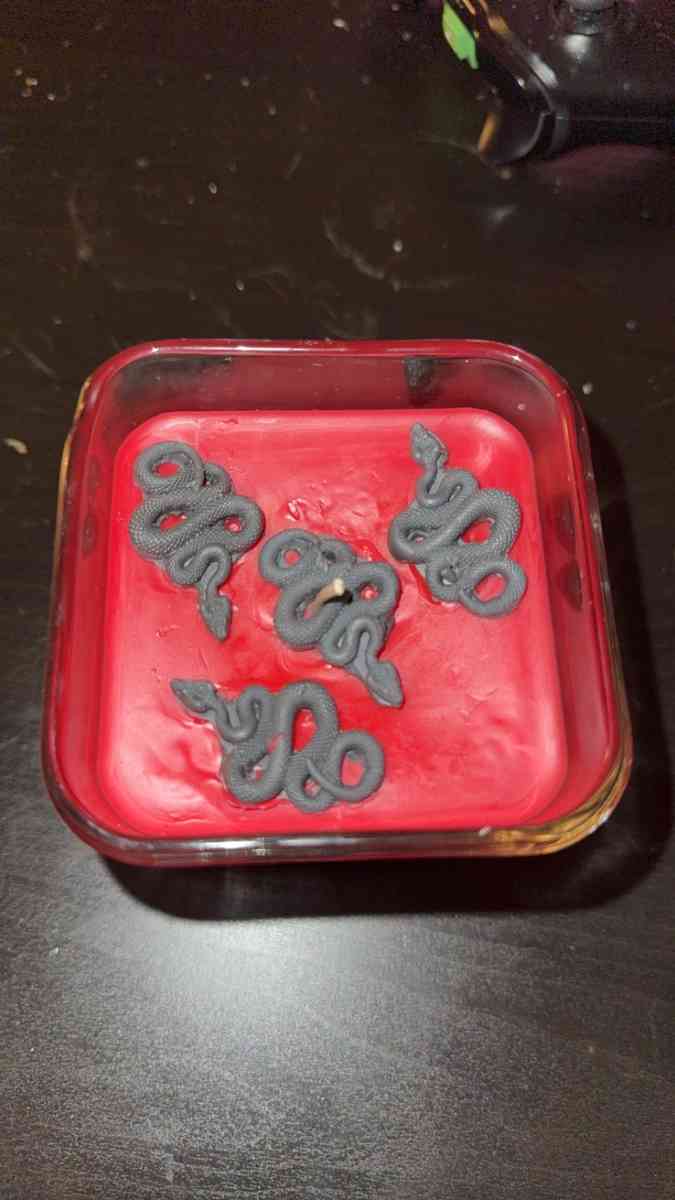 snake themed candle - Allen, Texas - FleaMarketBay