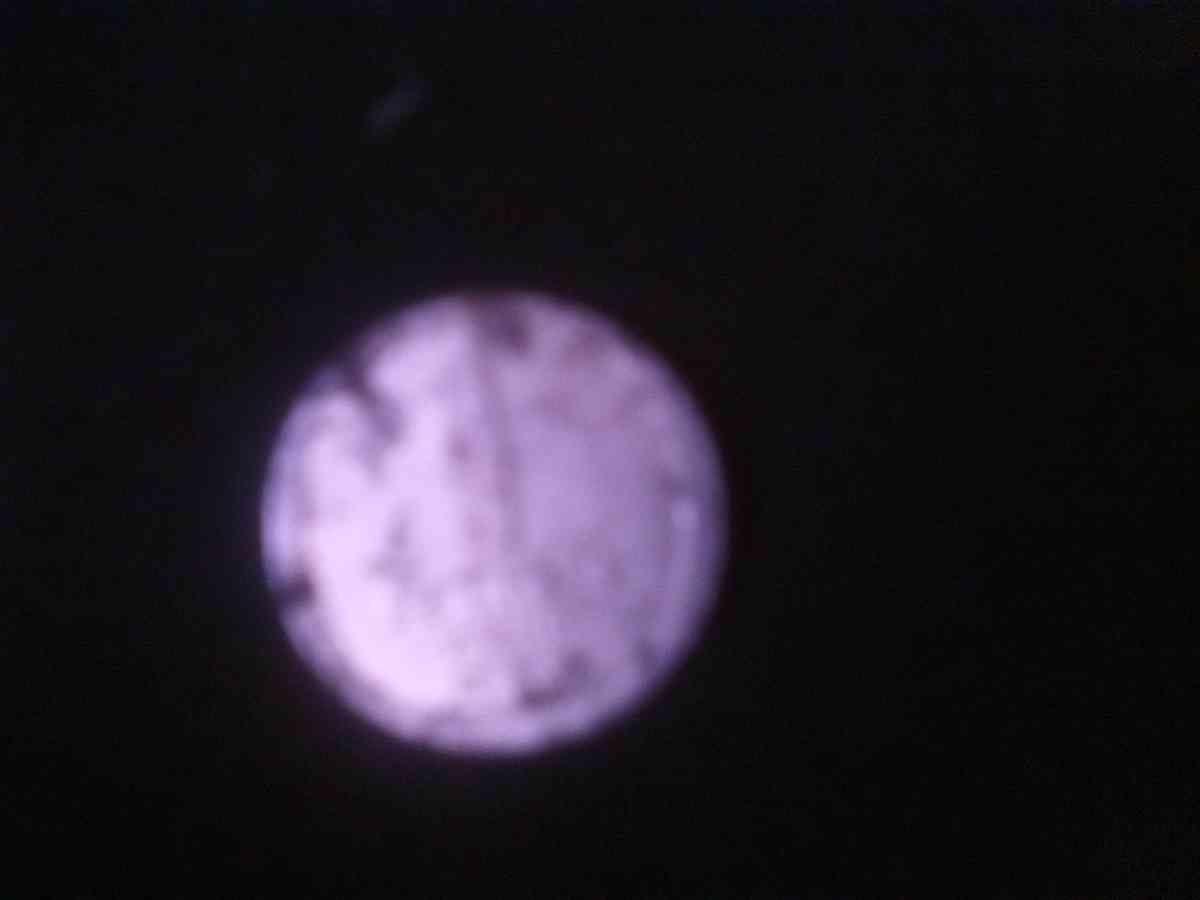 different types of coins - Pittsburgh, Pennsylvania - FleaMarketBay