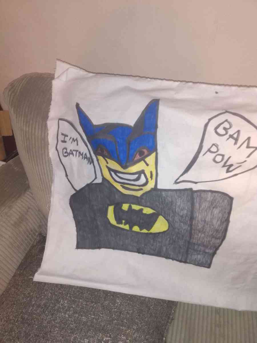 variety of pillows and wall hangings - Saint Louis, Missouri - FleaMarketBay