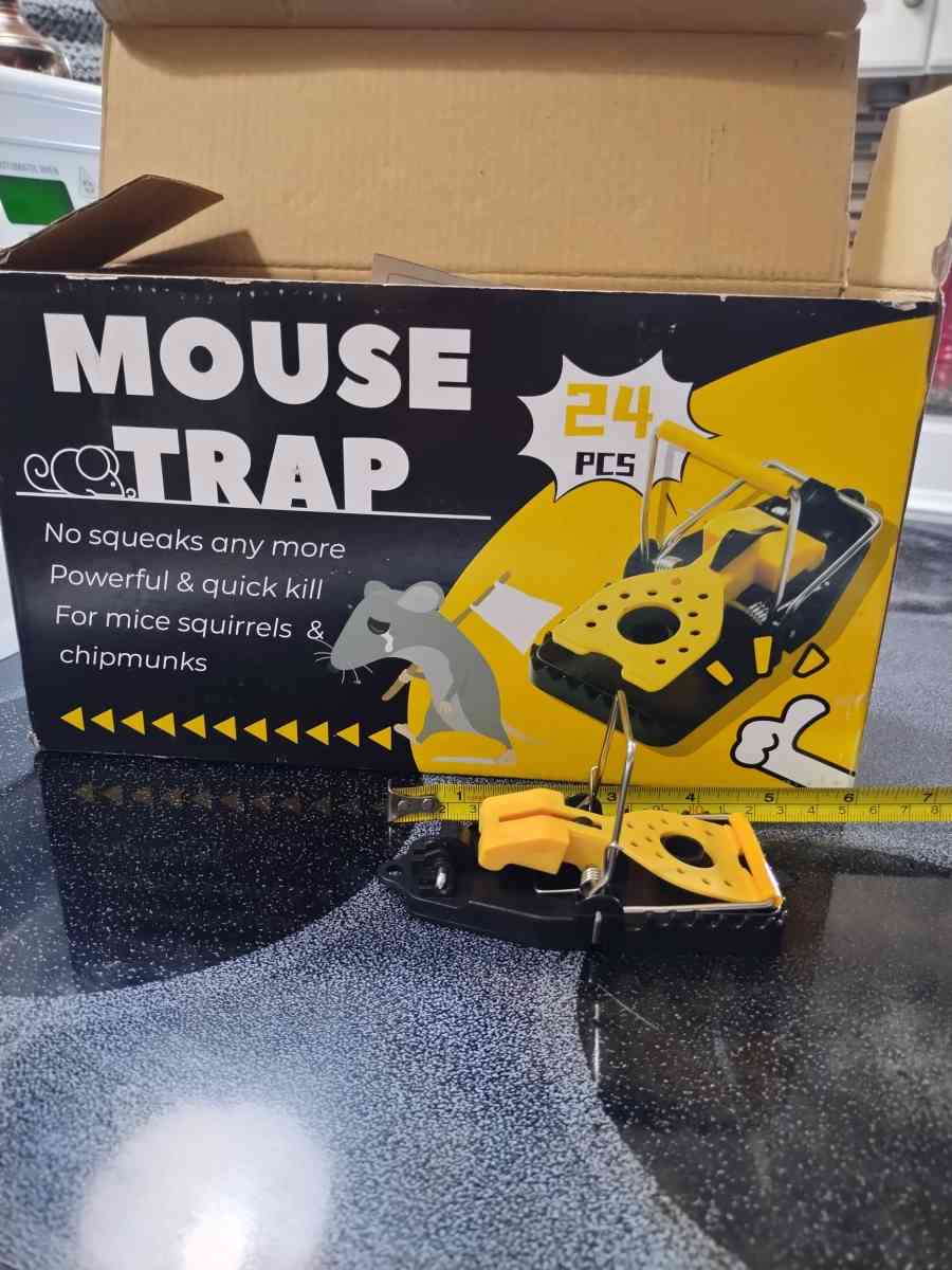 24 pk mouse traps