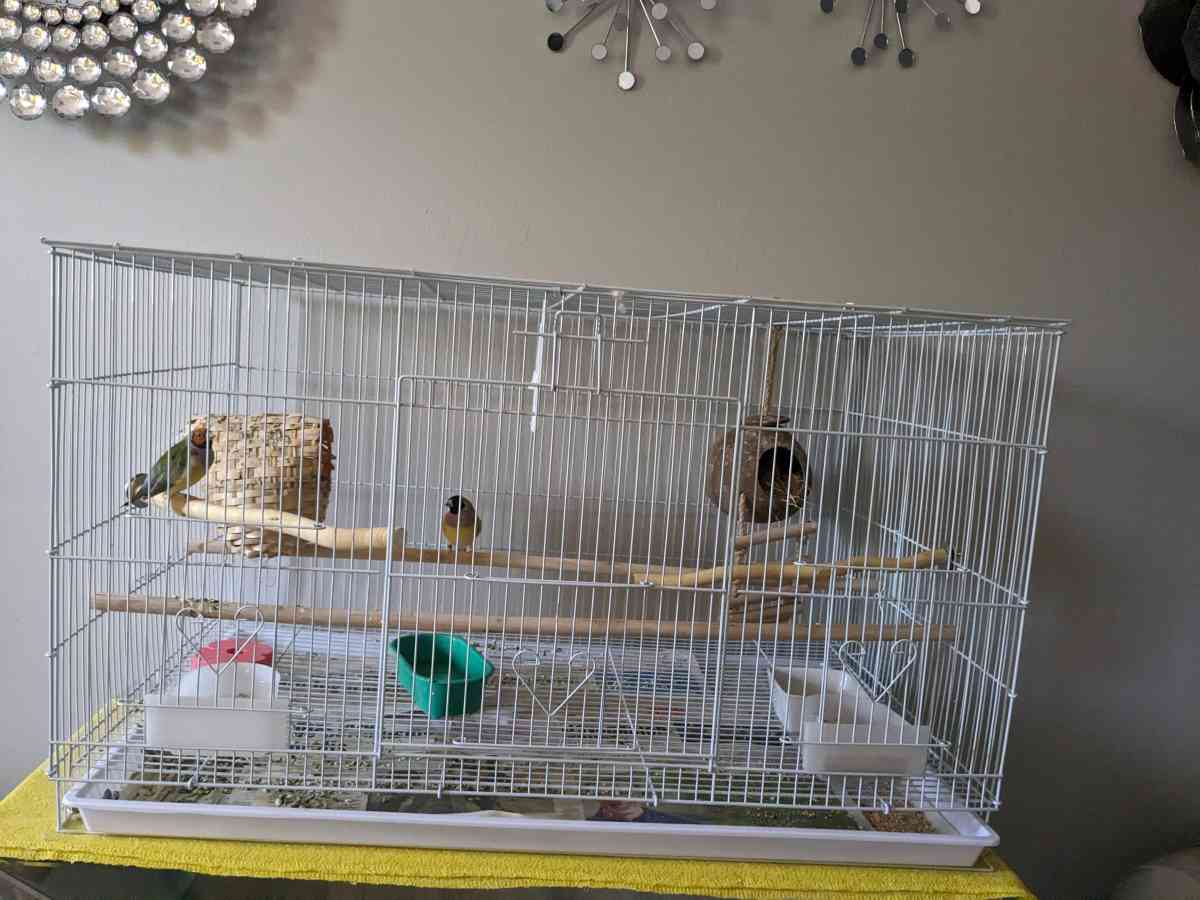 Flight birdcage in the box NEW - New Britain, Connecticut - FleaMarketBay