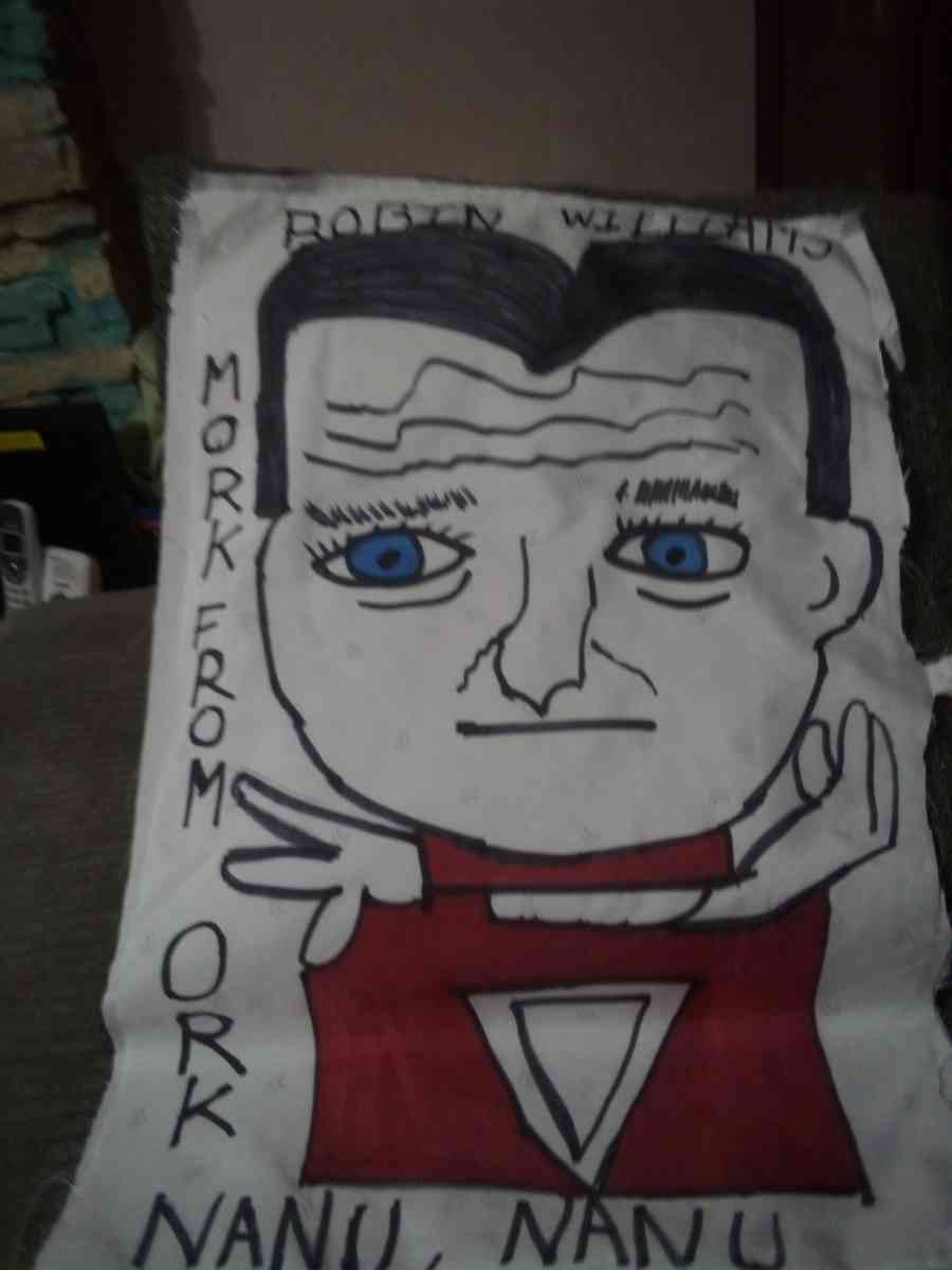 star track and baloo and more pillows - Saint Louis, Missouri - FleaMarketBay