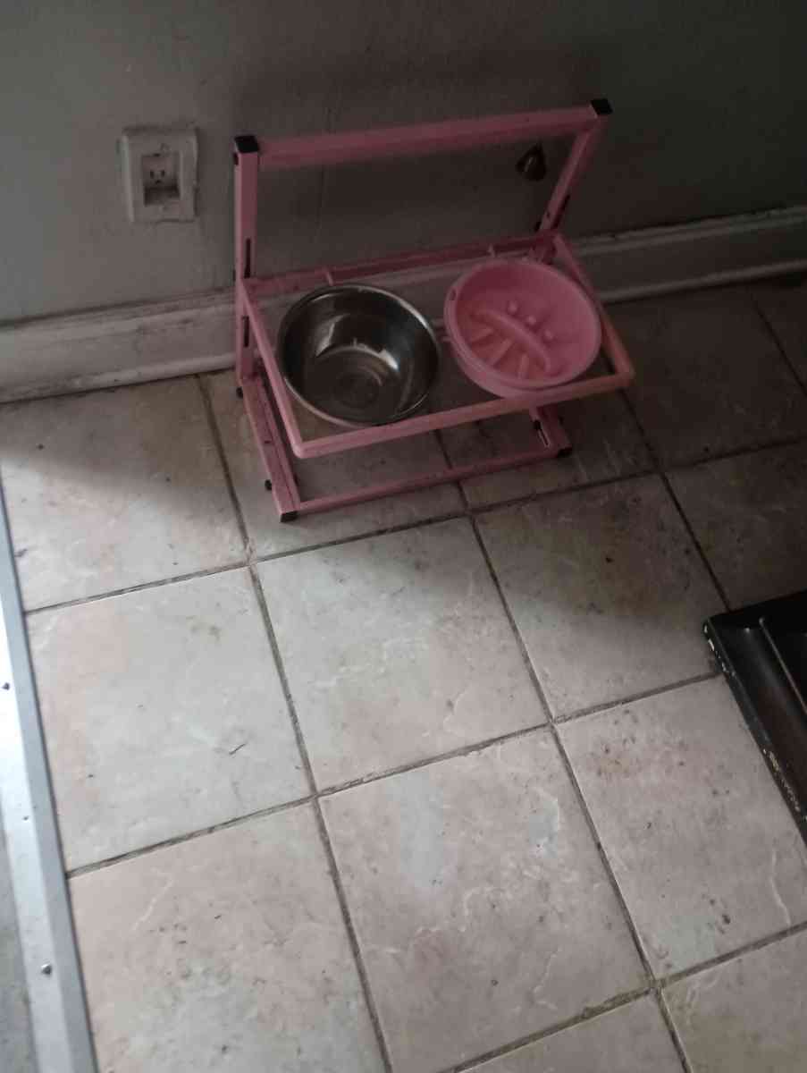 the dog bowl holder - Altamonte Springs, Florida - FleaMarketBay