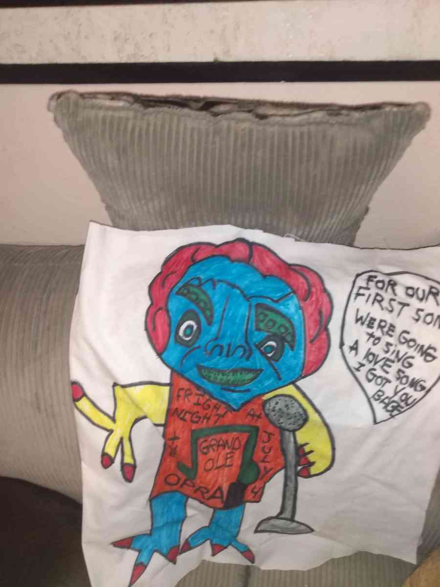 variety of pillows and wall hangings - Saint Louis, Missouri - FleaMarketBay