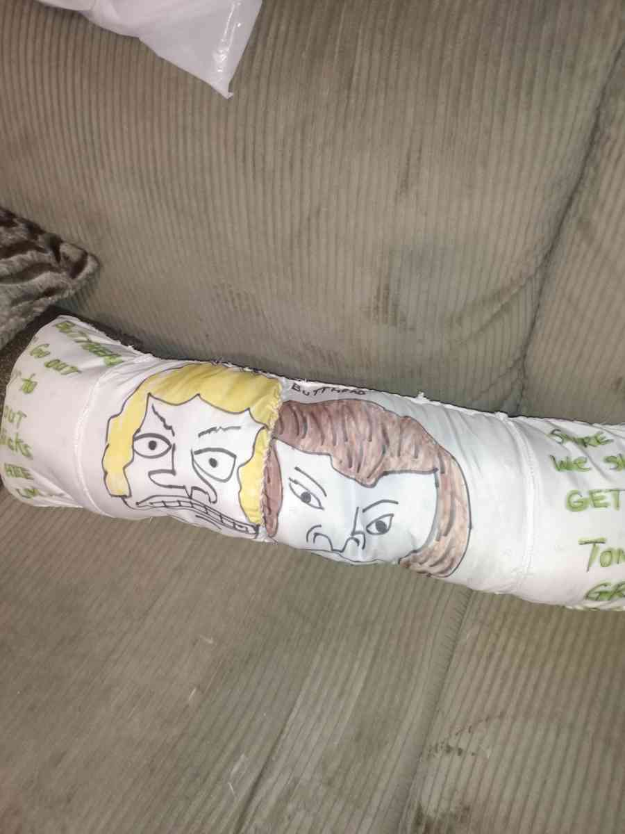 creative cartoons pillows - Saint Louis, Missouri