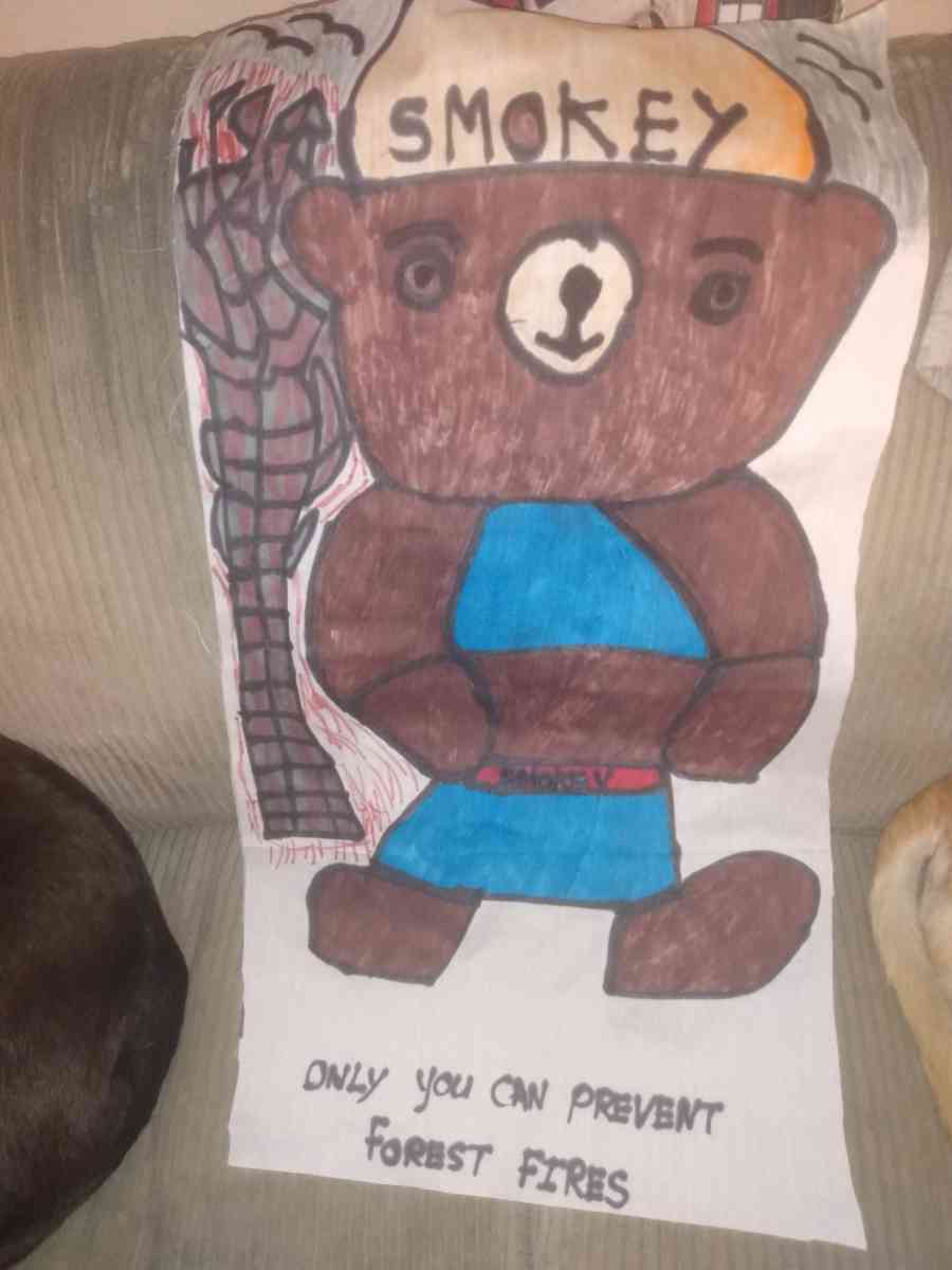 homemade cartoon pillows and wall hangings - Saint Louis, Missouri - FleaMarketBay