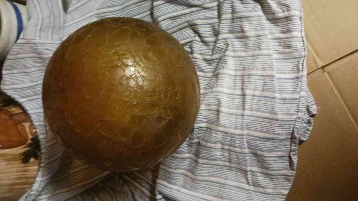 gold yellow crackle glass cover for ceiling light or swag la - Des Moines, Iowa - FleaMarketBay