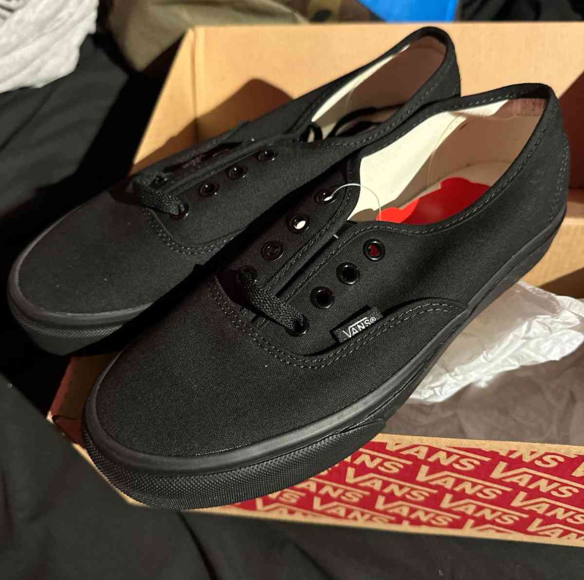 Vans Authentic Canvas Skate Shoes