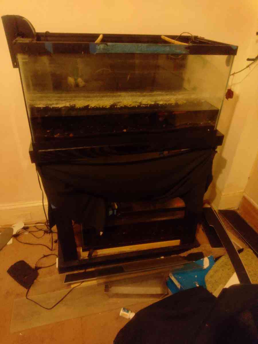 fish tank - Baltimore, Maryland - FleaMarketBay