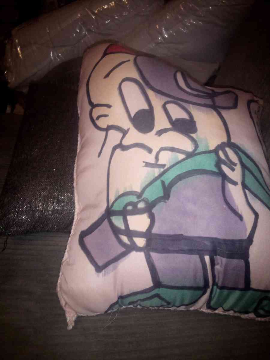 star track and baloo and more pillows - Saint Louis, Missouri - FleaMarketBay