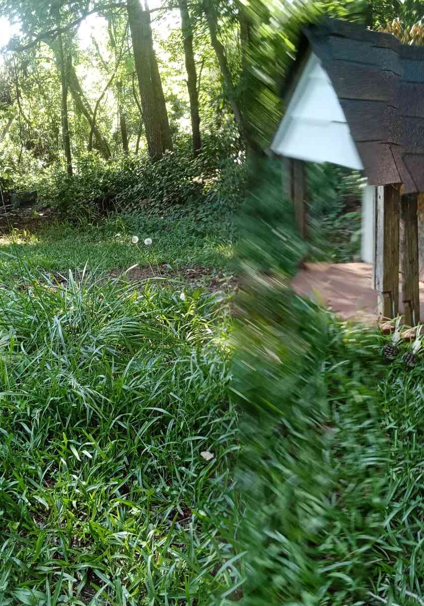 Dog Housem medium size - Gaston, North Carolina - FleaMarketBay