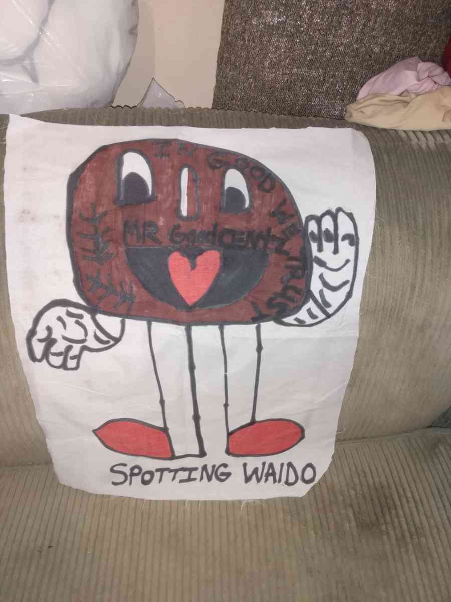 homemade cartoon pillows for you - Saint Louis, Missouri