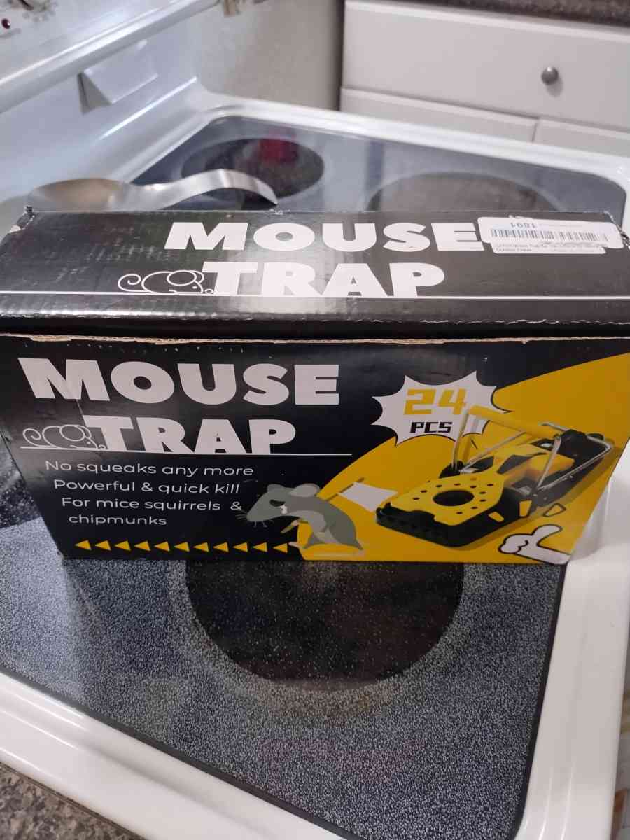 24 pk mouse traps - Orlando, Florida - FleaMarketBay
