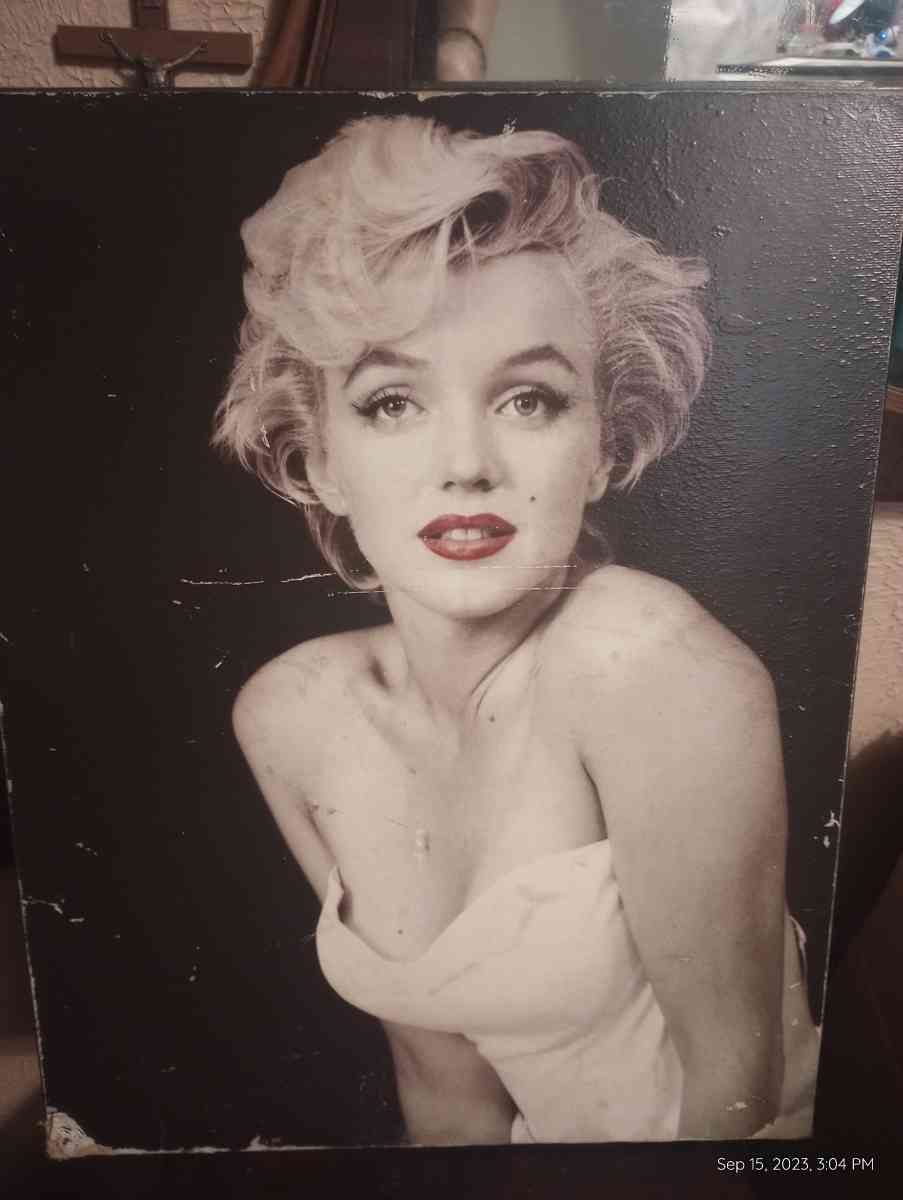 Marilyn Monroe portraits - San Antonio, Texas