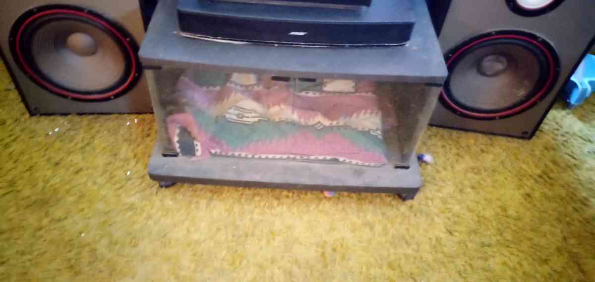 Bose Media sound system and Bose CD  player - Frankston, Texas - FleaMarketBay