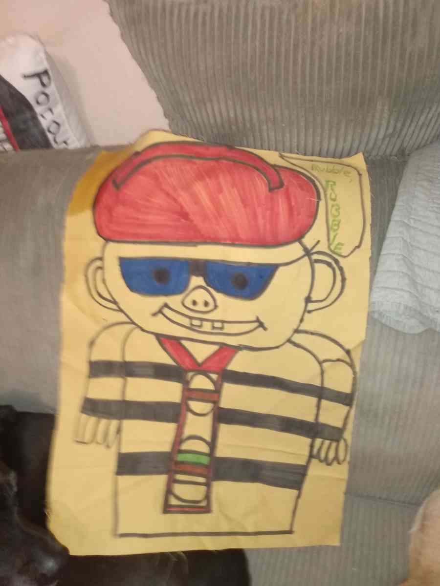 homemade pillows - Saint Louis, Missouri - FleaMarketBay