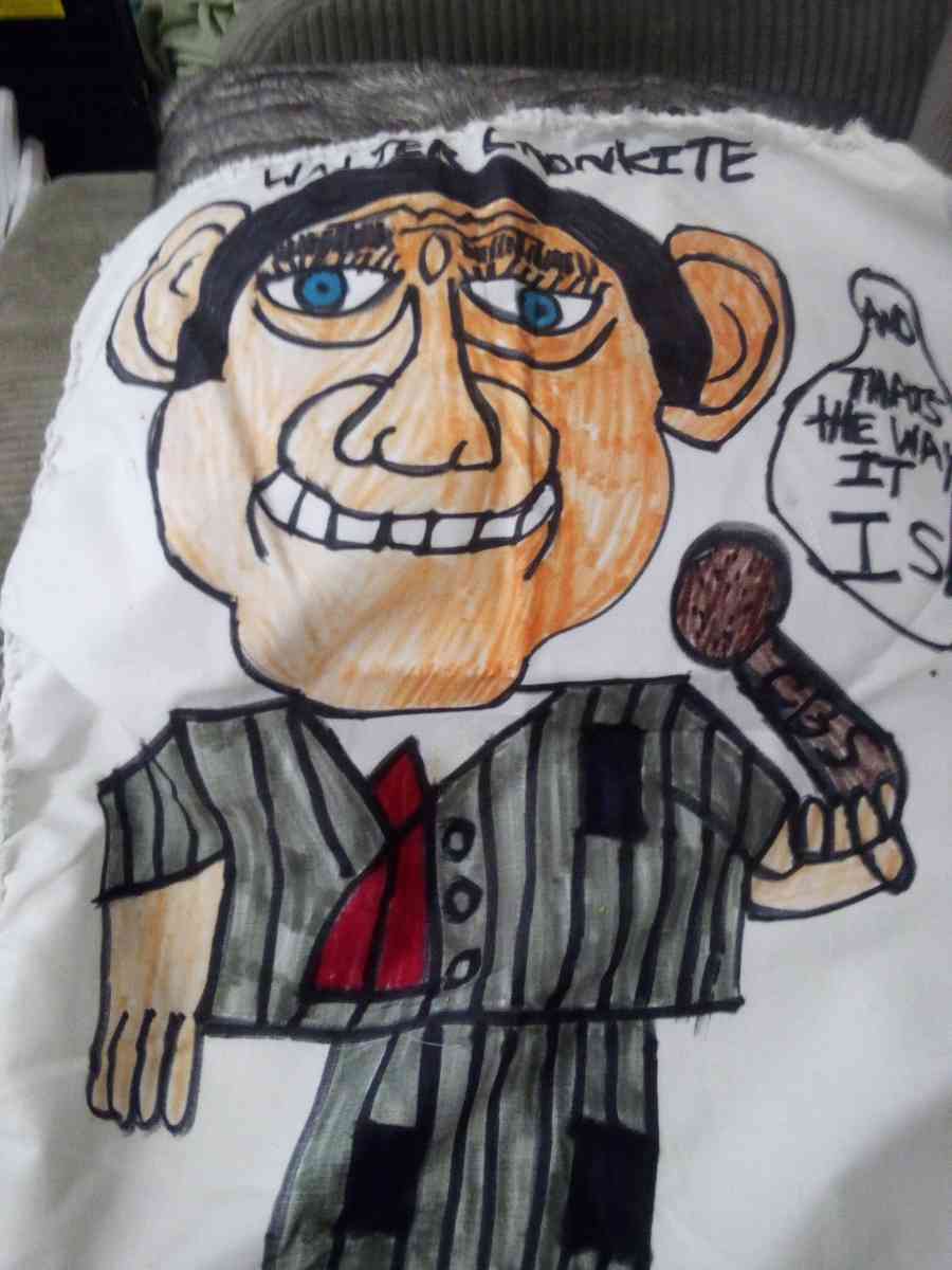 cartoon on pillows and wall hangings - Saint Louis, Missouri - FleaMarketBay