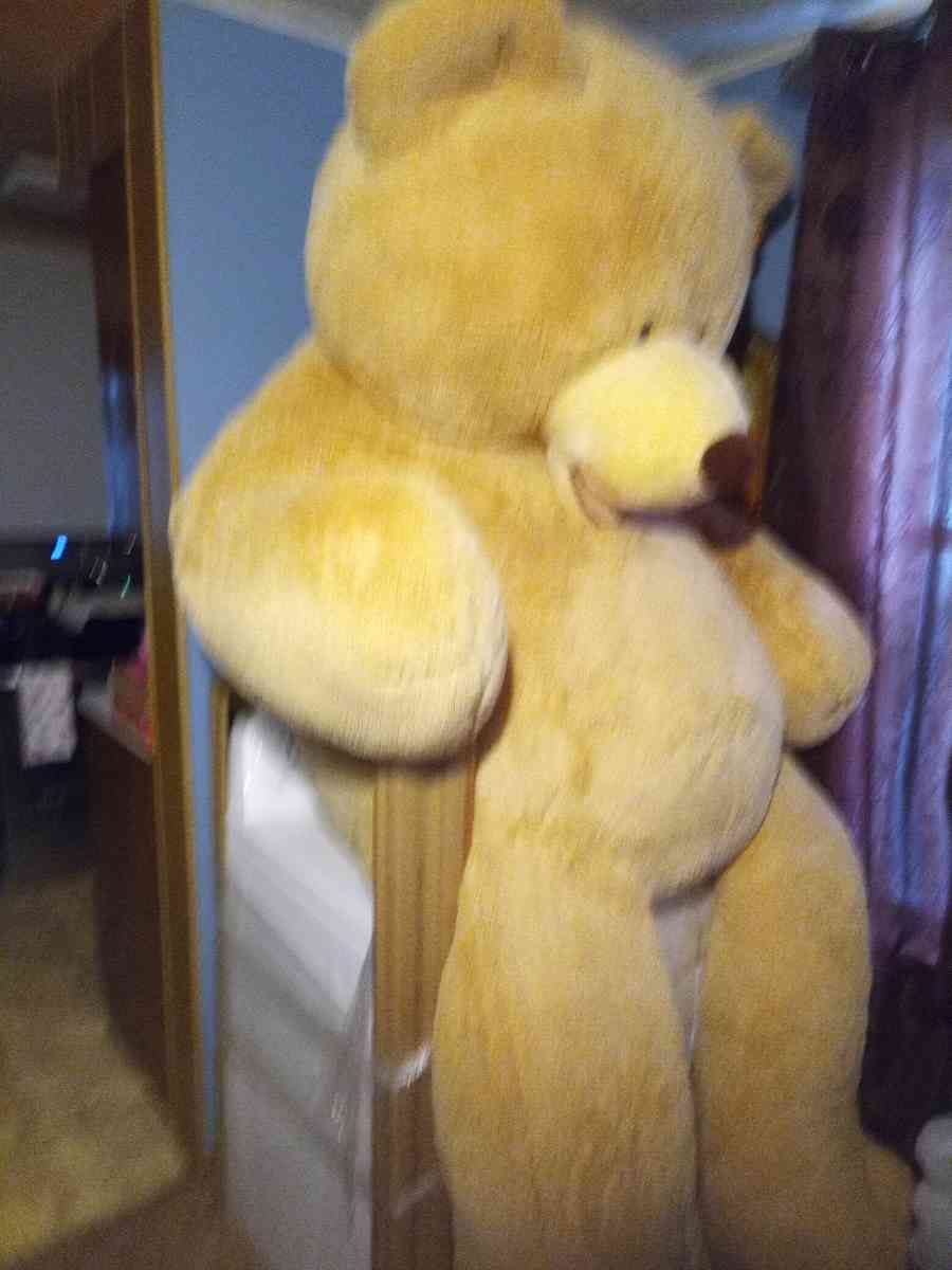 teddy bear 93 feet - Cleveland, Ohio - FleaMarketBay