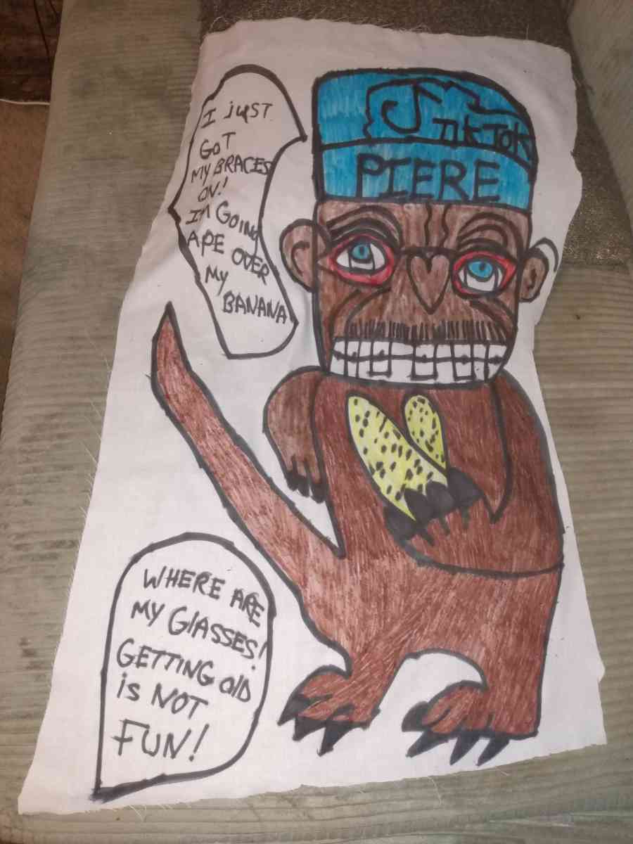 Tik Tok monkey - Saint Louis, Missouri