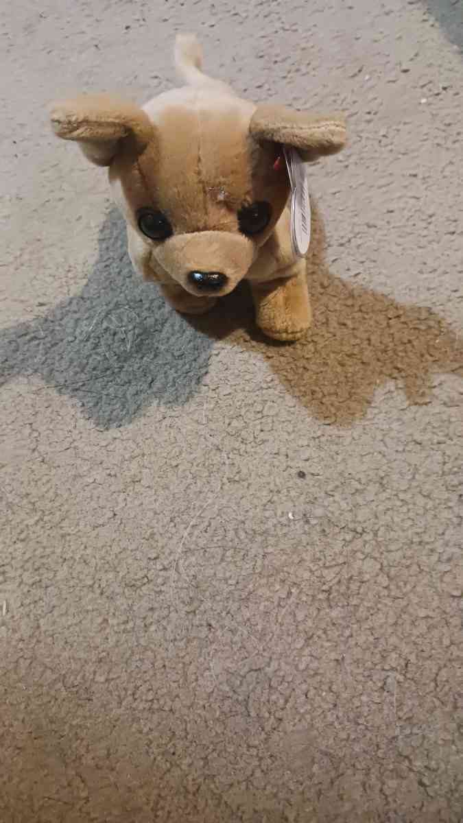 ty Beanie Babie - Deford, Michigan