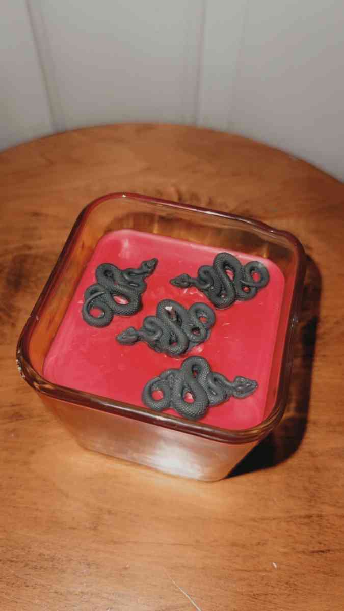 snake themed candle - Allen, Texas